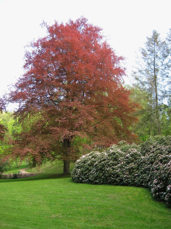 Hotel Augustenhof Bad Elster
